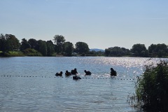 Tauchgang